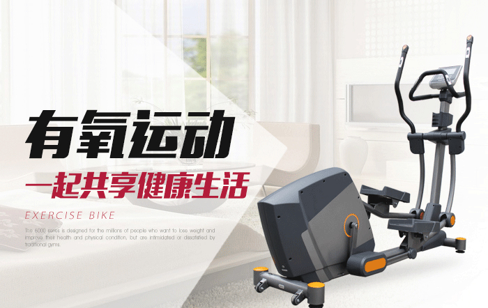 bce203健身车